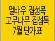 멀바우 집성목, 고무나무 ..