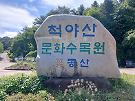 강원특별자치도 홍천군 내..