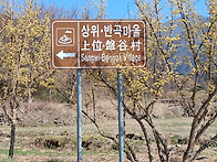 전남 구례군 산동면 (산수..