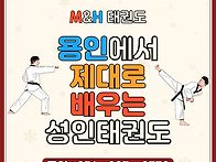 용인성인태권도