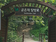 치악산 곧은재 (향로봉) 갑니다