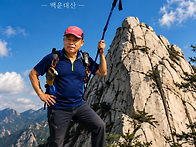 사진 올리기