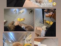 💢수찬님 인스..