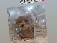 &#9989;수찬님 인스타 스토리