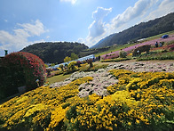 2025년10월25일 전남화순 ..