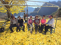 인제천리길 2-1코스 읍내가..