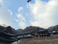 사다리병창으로 비..