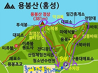 2025년 6월 제428차 정기..