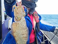 비양도 앞바다로 갑이 출조가실분~~