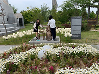 속초평화의소녀상 제54차 ..