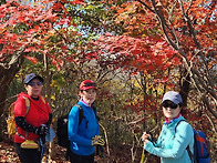 전북 순창 강천산 584m ..