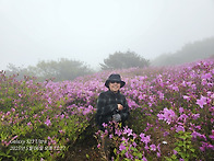 황매산에서 2