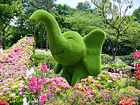 초안산숲길 20260628