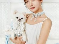 송하예님사진