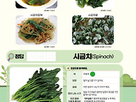 5월 시금치