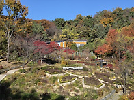 아차산숲속도서관 (서울 ..