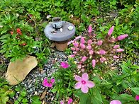 산골