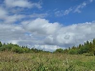 화명생태공원 메타..