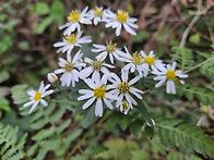 10/9 엄광산둘레길