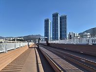 기찻길 숲속 산책..