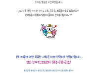 상추 모종심기