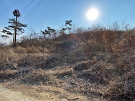32153 강상면 송학리 임 ..