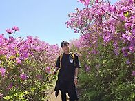 철쭉이 만발한 일림산에~..
