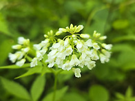 태백산~~1