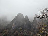 산을 좋아하면 산을 닮는다..