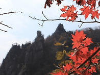 설악 흘림골 (동영상)