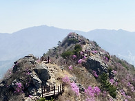 [웅산, 시루봉 버스 출발] 진달래, 벚꽃과..