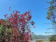 옥화봉 산행 사진