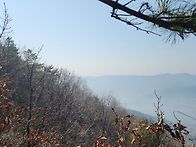 아산 고용산 봄 꽃구경