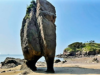 [굴업도 자차 출발] 언젠간 꼭 한번은 가봐..