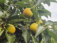 상주 천봉산 산행 사진