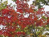 금강산 신선대 고맙습니다