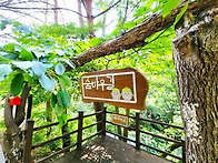 [1차 좌석 신청중] 시원한 계곡 숲길을 걷..