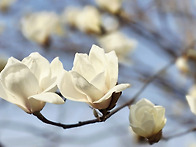 원적산 산행 사진