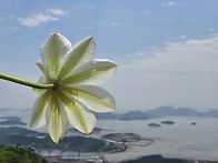 신안 자은도~1