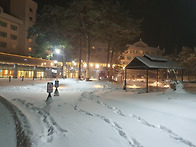 하이원 콘도 할인 예약 및..