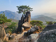 ♧ 청풍호 외솔봉(116)