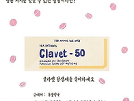 길고양이 구내염 대처법