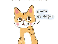 길고양이 구내염 대처법