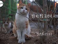 ＜법을 아는 만큼 길고양이를 지킨다＞