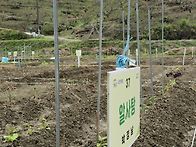 2025년 텃밭