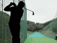 매화꽃이 피었습니다