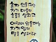 매실수확