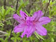 사람냄새가 그리운 날은