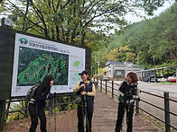 오대산 소금강계곡 힐링산..