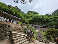 5월 정산 청량산 사진 및..